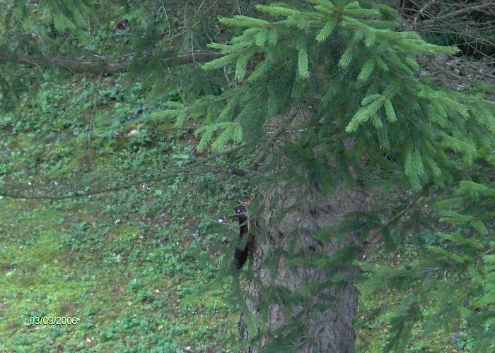 In Near Kama Nik Trail Prázdninový dům *
