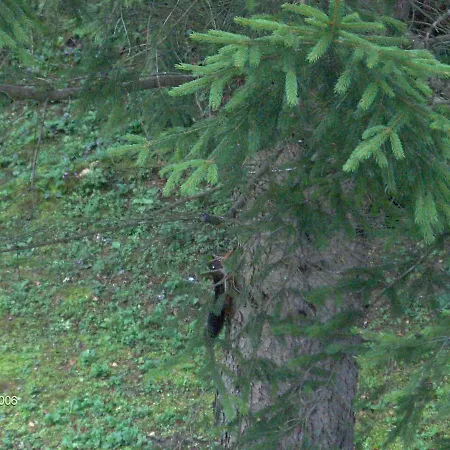 In Near Kama Nik Trail Σπίτι διακοπών *